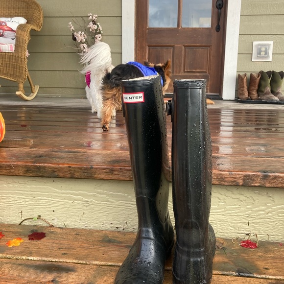 Hunter Black Rainboots Sz 7 - Picture 13 of 13